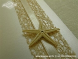 detalj morske zvijezde sa zahvalnice