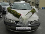 newlyweds car licence plate